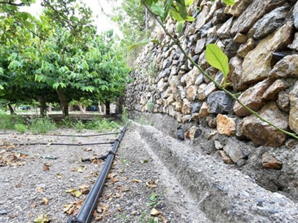Finca i Motril, Granada - foto 4